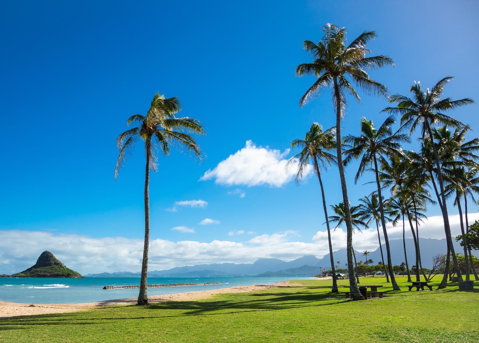 Palm trees at Chinaman's Hat, Oahu
